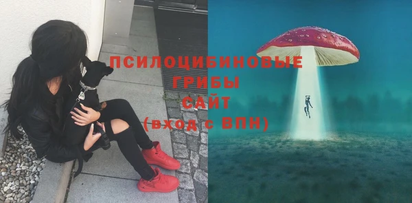 МДПВ Богородицк