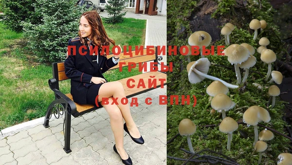 дживик Богданович