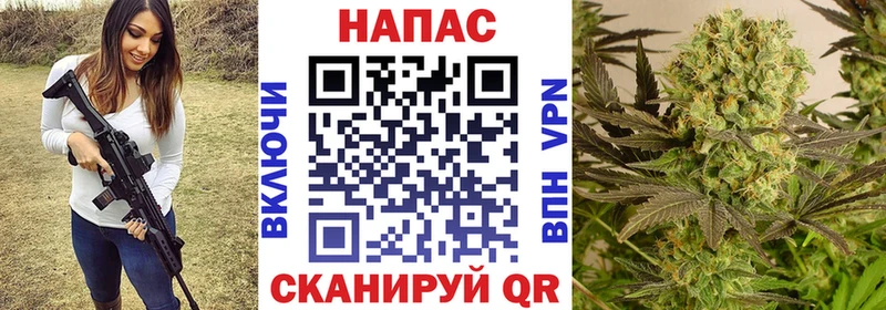 Бошки марихуана сатива  Егорьевск 